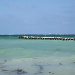 Journée ensoleillée sur une jetée au bord de l'océan