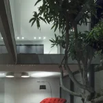 Salon moderne avec canapé rouge et grand arbre d'intérieur