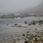 Plage rocheuse dans la brume matinale