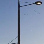 Réverbère allumé avec oiseaux en vol et croissant de lune