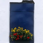 Fenêtre bleue avec jardinière de fleurs colorées