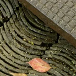 Dalle texturée et feuilles mortes sur un pavé mosaïque