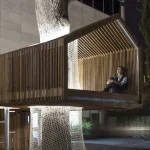 Maison dans un arbre moderne avec personne contemplant