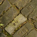 Pavés anciens avec végétation et feuilles