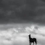 Cheval en pied sous un ciel orageux