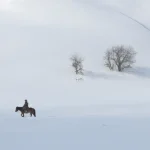 Équitation en hiver dans un paysage enneigé