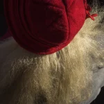 Personne avec un chapeau rouge vu de dos