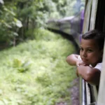 Enfant regardant par la fenêtre du train dans la forêt