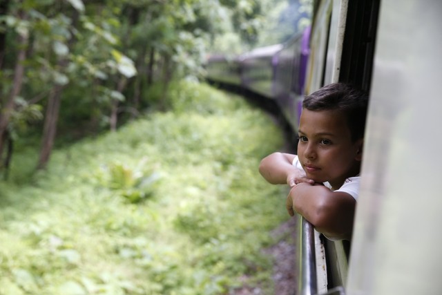 AKG5549804.webp Enfant regardant par la fenêtre du train dans la forêt – Image 1