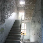 Escalier Délabré dans un Bâtiment Abandonné