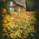 Maison de campagne en pierres rouges entourée de feuillage automnal
