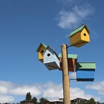 Maisons d'oiseaux colorées sur poteau en bois