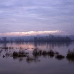 Lever de soleil sur un lac brumeux