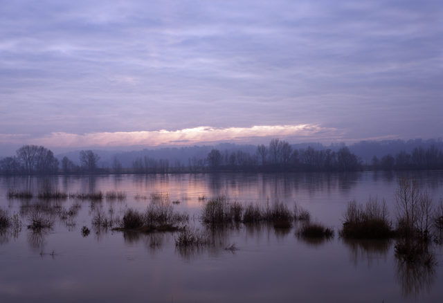 AKG578758.webp Lever de soleil sur un lac brumeux – Image 1