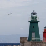 Deux phares colorés en bord de mer avec un oiseau en vol