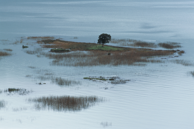 AKG5790527.webp Île solitaire avec arbre dans un lac – Image 1