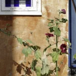Fenêtre avec bouteilles bleues et plante devant un mur en pierre