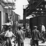 Dockers chargeant des sacs de marchandises sous une grue