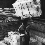 Chargement de balles de coton sur un bateau