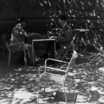 Homme jouant aux échecs à l'extérieur sous les ombres d'un arbre