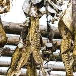 Poisson séché suspendu sur des tiges en bois