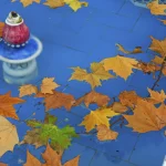 Feuilles d'automne flottant dans une piscine