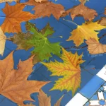 Feuilles d'automne flottant sur l'eau d'une piscine