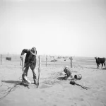 Réparation de clôture dans une région désertique