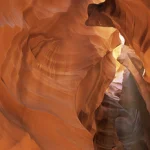 Canyon Antelope