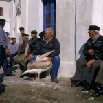 Groupe d'hommes âgés discutant devant un bâtiment blanc avec un pélican