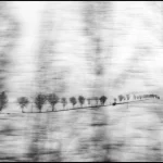 Paysage flou et arbres en hiver