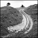 Chemin de terre sinueux entre collines verdoyantes