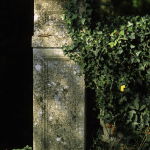 Pilier en pierre avec lierre