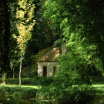 Petite maison en pierre au cœur de la forêt