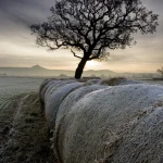 Coucher de soleil sur la campagne avec un arbre et des bottes de foin
