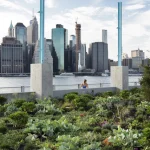 Vue sur la Skyline de Manhattan depuis un Jardin Urbain