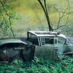 Voiture Abandonnée Envahie par la Végétation