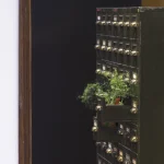 Tiroirs d'archive avec plantes