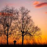 Coucher de soleil avec deux arbres et une croix.