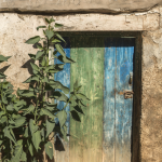 Vieille Porte en Bois Colorée avec Végétation