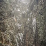 Forêt Brumeuse avec Rochers et Végétation Givrée