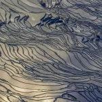 Paysage de rizières en terrasse inondées