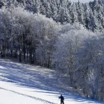 Skieur solitaire dans une forêt enneigée