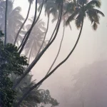 Paysage tropical brumeux avec canoë