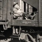 Homme barbu assis sur un train en mouvement