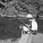 Garçon pêchant avec son chien au bord d'un lac