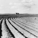 Champs Labourés avec Maison Lointaine