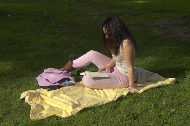 AKG7772364.webp Femme lisant sur une couverture jaune dans un parc – Image 1
