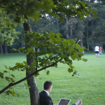 Homme travaillant sur ordinateur portable sous un arbre dans un parc