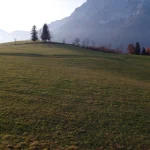 Champ de Montagne au Lever du Soleil